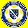 FK Bosna Mannheim