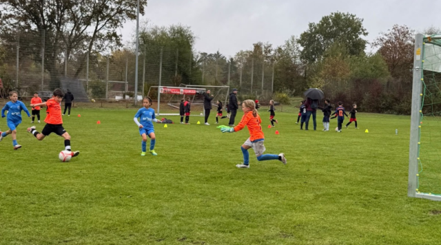 Spielfest beim ASV Feudenheim